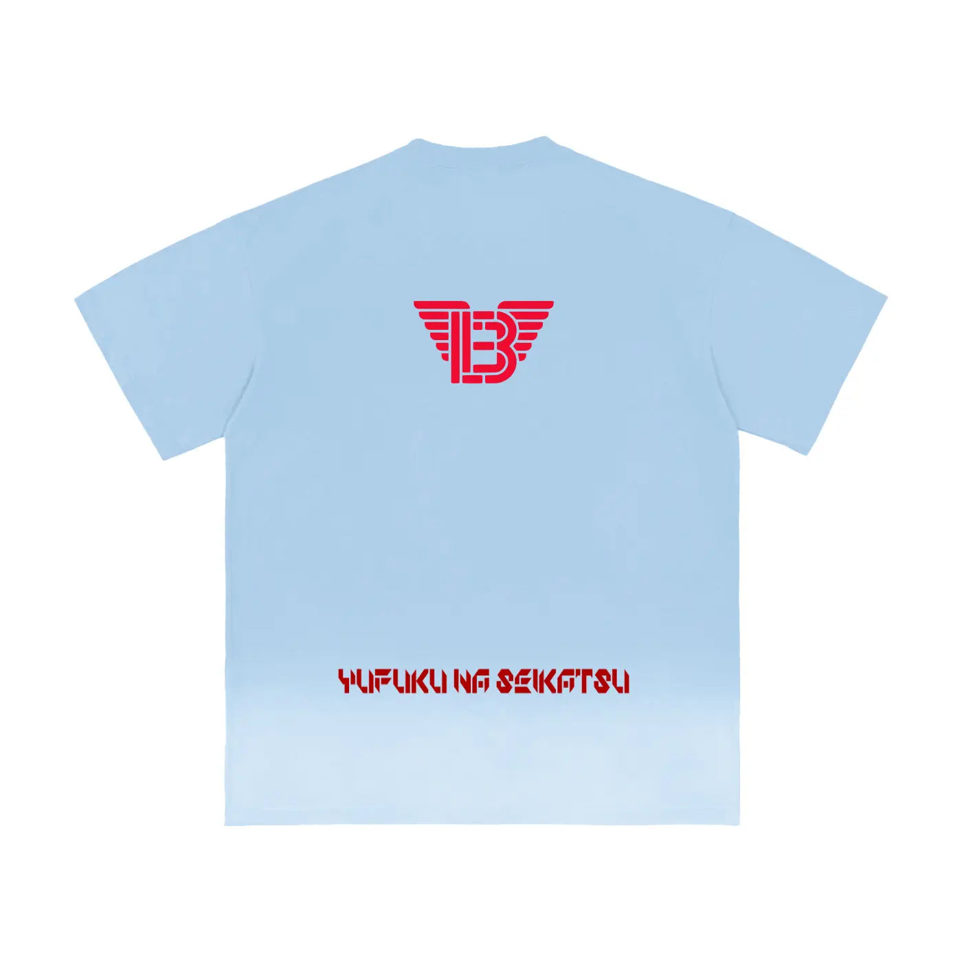 BAC Sunfade Vintage Washed T-Shirt ODMPOD