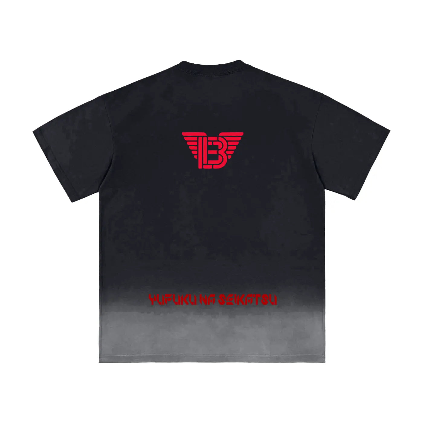 BAC Sunfade Vintage Washed T-Shirt ODMPOD